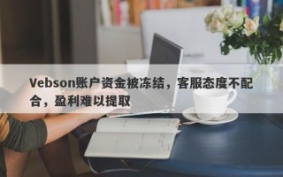 Vebson账户资金被冻结，客服态度不配合，盈利难以提取