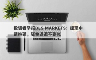 投资者举报DLS MARKETS：提现申请拖延，资金迟迟不到帐