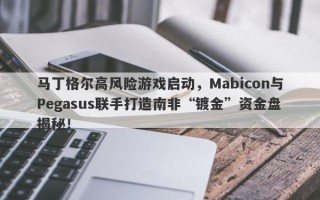 马丁格尔高风险游戏启动，Mabicon与Pegasus联手打造南非“镀金”资金盘揭秘！