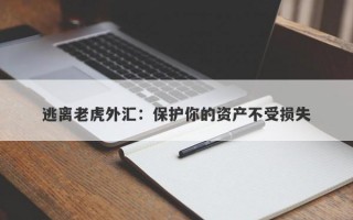 逃离老虎外汇：保护你的资产不受损失