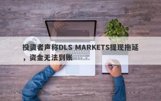 投资者声称DLS MARKETS提现拖延，资金无法到账