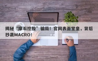 揭秘“摩石控股”骗局！官网表面堂皇，背后抄袭MACRO！