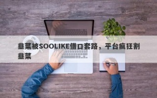 韭菜被SOOLIKE借口套路，平台疯狂割韭菜