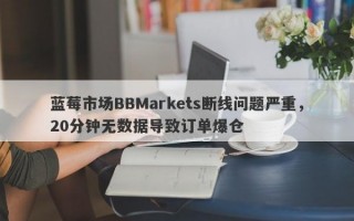 蓝莓市场BBMarkets断线问题严重，20分钟无数据导致订单爆仓