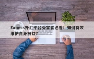 Exness外汇平台受害者必看！如何有效维护自身权益？