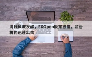 洗钱风波发酵，FXOpen股东被捕，监管机构迅速出击