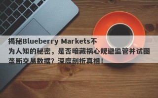 揭秘Blueberry Markets不为人知的秘密，是否暗藏祸心规避监管并试图垄断交易数据？深度剖析真相！