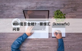 WGI是否合规？-要懂汇（knowfx）问答