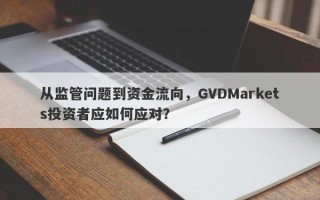 从监管问题到资金流向，GVDMarkets投资者应如何应对？