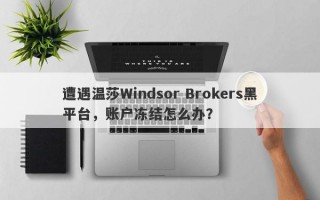 遭遇温莎Windsor Brokers黑平台，账户冻结怎么办？