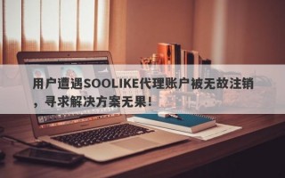 用户遭遇SOOLIKE代理账户被无故注销，寻求解决方案无果！