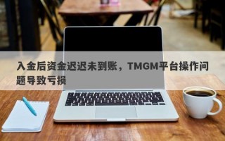 入金后资金迟迟未到账，TMGM平台操作问题导致亏损