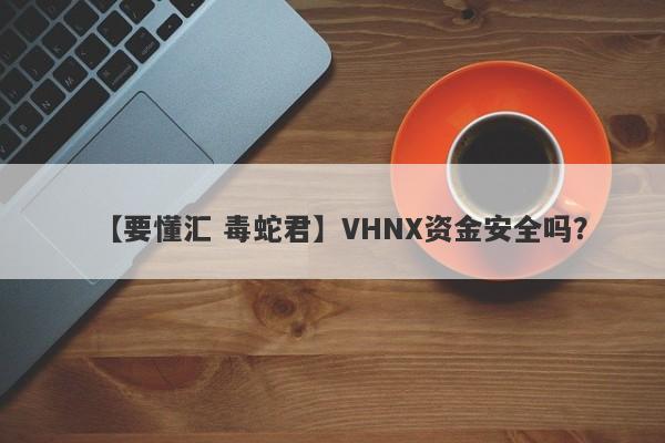 【要懂汇 毒蛇君】VHNX资金安全吗？
-第1张图片-要懂汇圈网