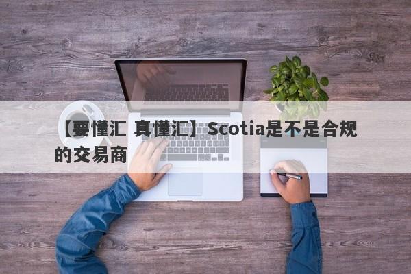 【要懂汇 真懂汇】Scotia是不是合规的交易商
-第1张图片-要懂汇圈网