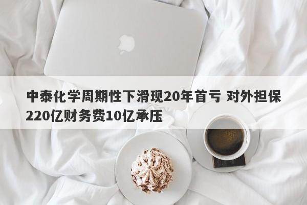 中泰化学周期性下滑现20年首亏 对外担保220亿财务费10亿承压-第1张图片-要懂汇圈网