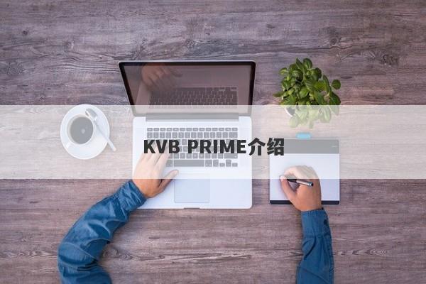 KVB PRIME介绍-第1张图片-要懂汇圈网