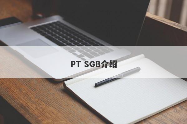 PT SGB介绍-第1张图片-要懂汇圈网