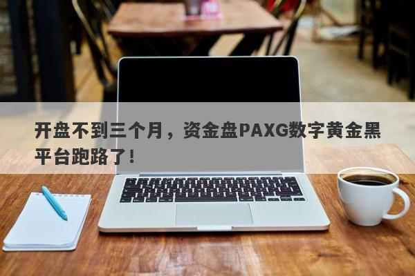 开盘不到三个月，资金盘PAXG数字黄金黑平台跑路了！-第1张图片-要懂汇圈网