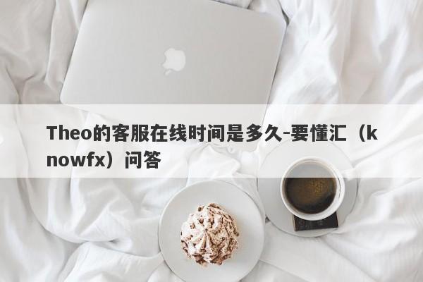 Theo的客服在线时间是多久-要懂汇（knowfx）问答-第1张图片-要懂汇圈网