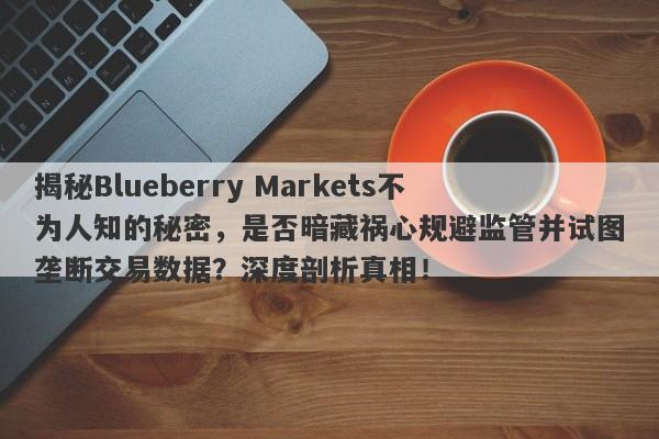 揭秘Blueberry Markets不为人知的秘密，是否暗藏祸心规避监管并试图垄断交易数据？深度剖析真相！-第1张图片-要懂汇圈网