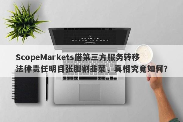 ScopeMarkets借第三方服务转移法律责任明目张胆割韭菜，真相究竟如何？-第1张图片-要懂汇圈网