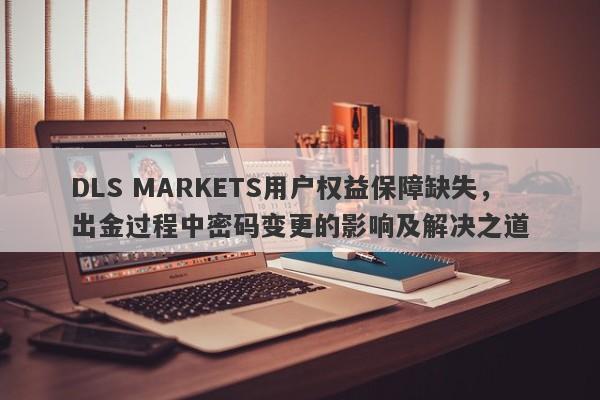 DLS MARKETS用户权益保障缺失，出金过程中密码变更的影响及解决之道-第1张图片-要懂汇圈网