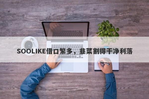 SOOLIKE借口繁多，韭菜割得干净利落-第1张图片-要懂汇圈网