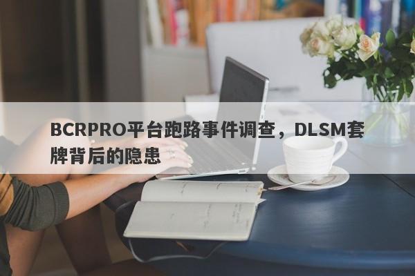 BCRPRO平台跑路事件调查，DLSM套牌背后的隐患-第1张图片-要懂汇圈网