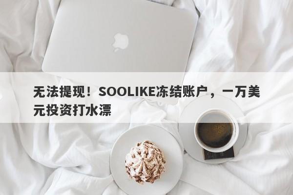 无法提现！SOOLIKE冻结账户，一万美元投资打水漂-第1张图片-要懂汇圈网