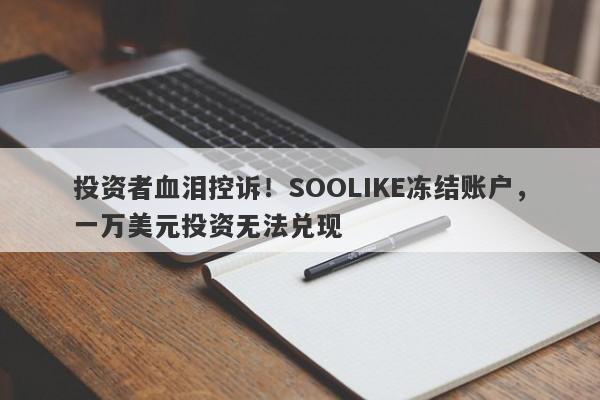 投资者血泪控诉！SOOLIKE冻结账户，一万美元投资无法兑现-第1张图片-要懂汇圈网